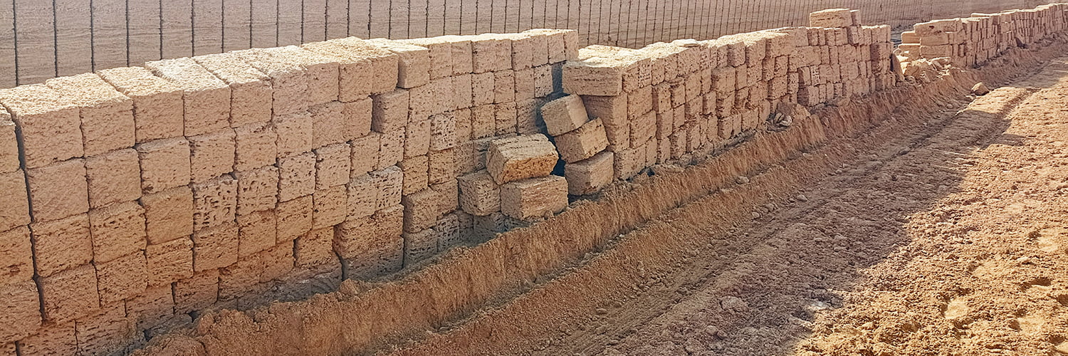 Купить ракушечник желтый